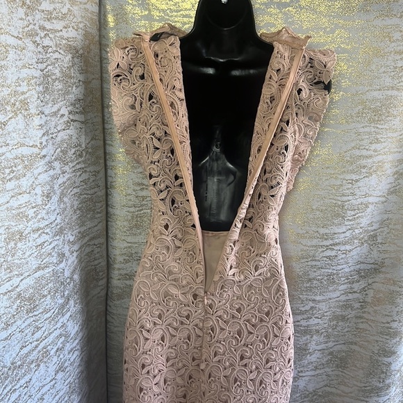 Zara Women’s Blush Pink Guipure Lace Knee Length Dress Size S - Picture 11 of 17